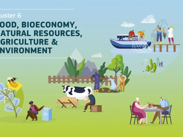 he_cluster6_web_banner